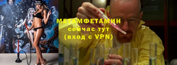 сатива Беломорск