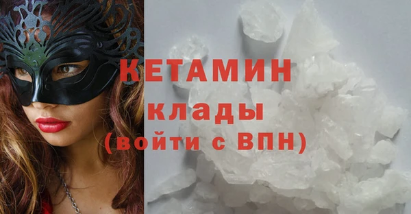 сатива Беломорск