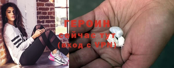 сатива Беломорск