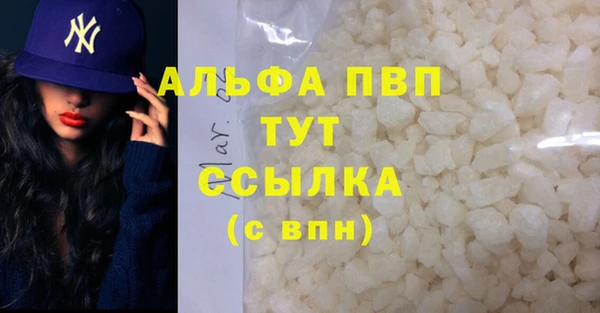 сатива Беломорск