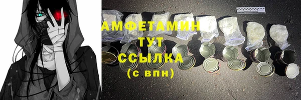 сатива Беломорск