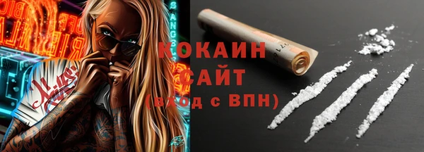 сатива Беломорск