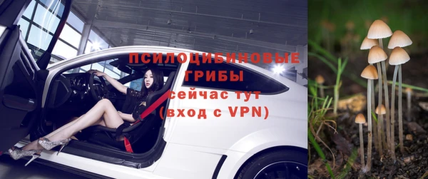 скорость Белокуриха